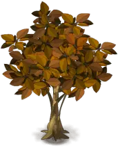 Autumn Tree - leaves - yellow - PNG