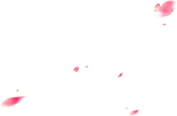 Pink Petals Falling - Popular Download PNG - nature