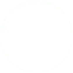 White Circle - geometric shape - solid color - Free PNG