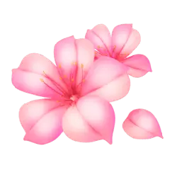 Pink Flowers - pink - High Quality PNG