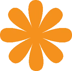 Orange Flower - Curated PNG