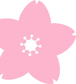 Cherry Blossom - pink - No Background PNG