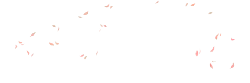 Pink Feathers - High Resolution PNG