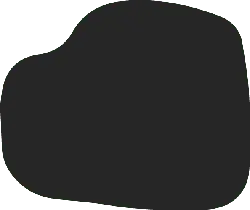 Black Irregular Shape - graphic - Lossless PNG