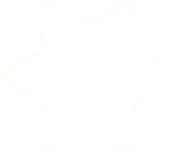 Six Petal Flower - petal - Lossless PNG