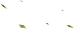 Falling Leaves - peaceful - High Resolution PNG