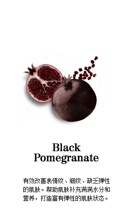 Pomegranate - healthy - tasty - Transparent Background PNG