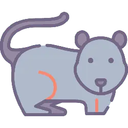 Cartoon Mouse - orange - Free Download PNG