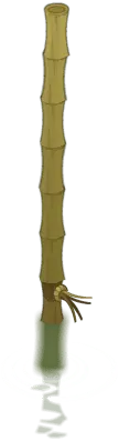 Bamboo - stem - nature - High Resolution PNG