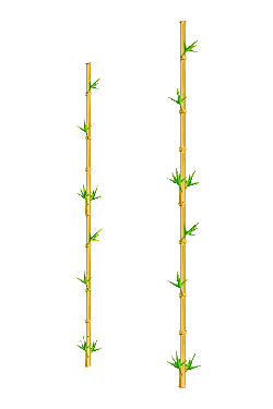 Bamboo - leaves - PNG