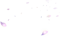 Cherry Blossom Petals Falling - lightweight - No Watermark PNG