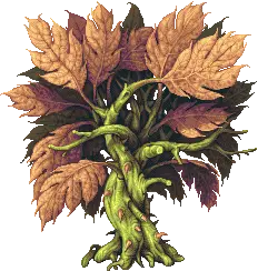 Autumn Tree - plant - PNG Images