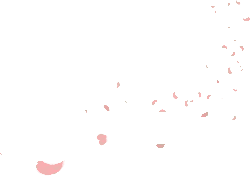 Pink Petals Falling - pink - peaceful - High Resolution PNG