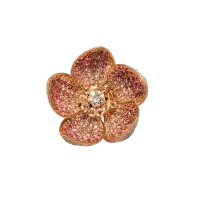 Flower Ring - Curated PNG
