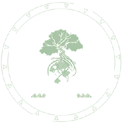 Tree of Life - Popular Download PNG