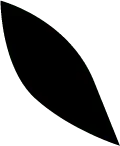 cat - Black Cat - Trending PNG - Pic 6