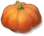 Pumpkin - vegetable - Free PNG