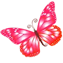 Pink Butterfly - life - PNG Images