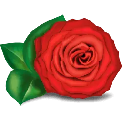 flower - High Resolution PNG - Red Rose