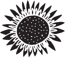 Sunflower - Transparent Background PNG - plant