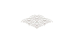 Sector Pattern - simple - PNG