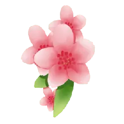 Peach Blossom - Popular Download PNG - Recommended PNG