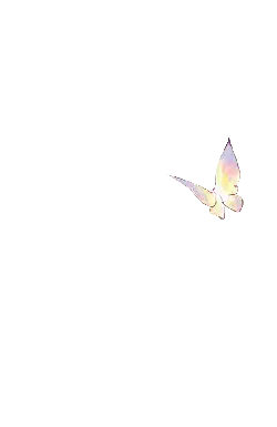 Butterfly - flying - No Background PNG