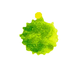 Green Circular Object - High Download Count PNG