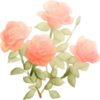 Bouquet of Roses - plant - No Watermark PNG