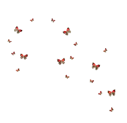 Butterfly - red - black - High Resolution PNG
