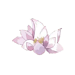 Pink Lotus Flower - Recommended PNG