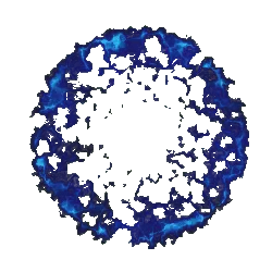 Blue Halo - blue - Designer's Pick PNG