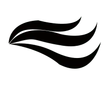 Black Triangle - Transparent Layer PNG