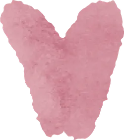 Butterfly - insect - PNG