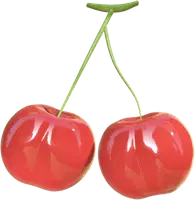 Cherry - fruit - Fast Download PNG