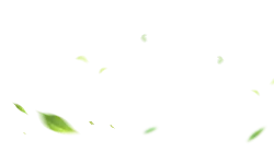 Falling Leaves - nature - beautiful - Lossless PNG