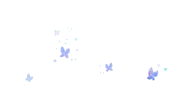 Colored Butterflies - nightsky - Transparent Background PNG