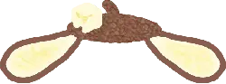 Butterfly - No Background PNG - insect
