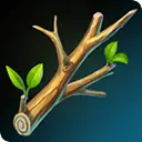 Branch - growth - life - High Resolution PNG