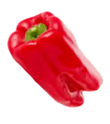 Sweet Pepper - nutritious - Transparent Layer PNG