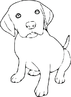 Black Owl - night hunter - Free Download PNG - Pic 2