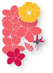 Abstract Flower Pattern - shape - color - High Resolution PNG