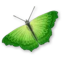 Green Butterfly - flying - Transparent Background PNG