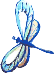Blue Dragonfly - insect - Transparent Background PNG
