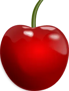 Cherry - fruit - High Resolution PNG
