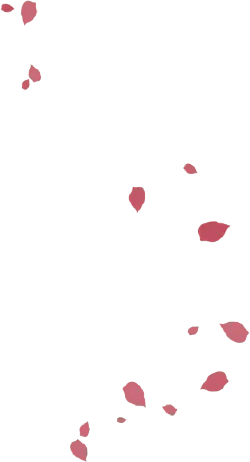 Pink Petals Falling - High Resolution PNG - background