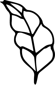No Background PNG - Black Owl - night hunter - Pic 2