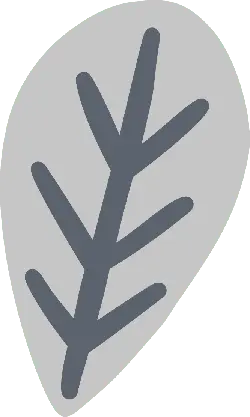 Leaf - High Quality PNG - Transparent Background PNG