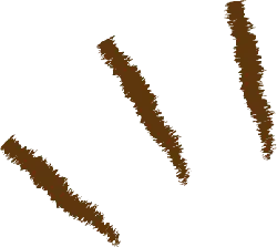 Brown Stripes - pattern - High Resolution PNG