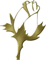 Gold Rose - Designer Recommended PNG